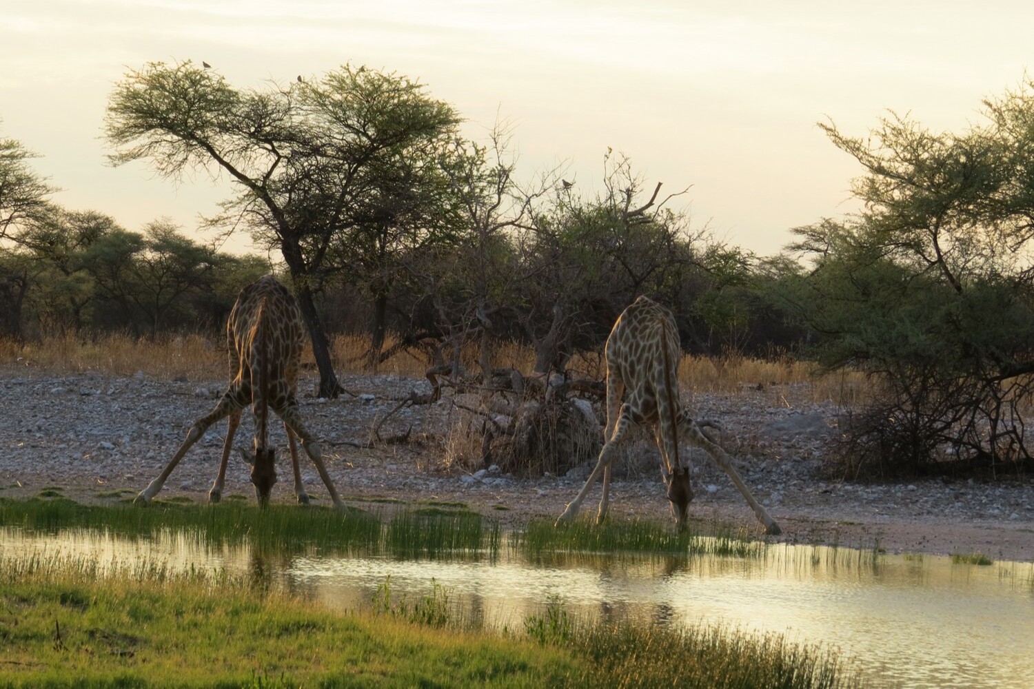 itinerari su misura per la Namibia