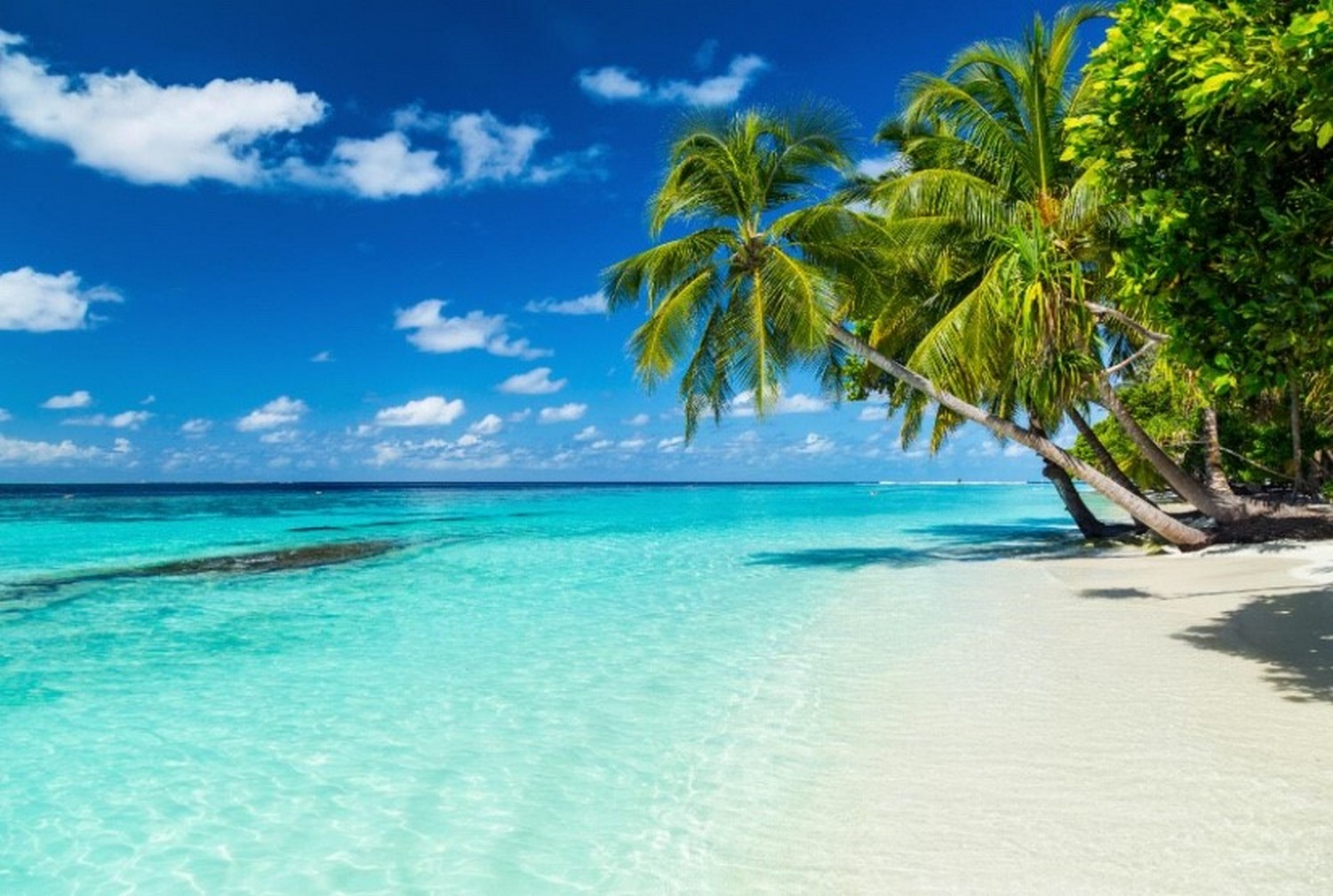 il tuo viaggio alle Maldive