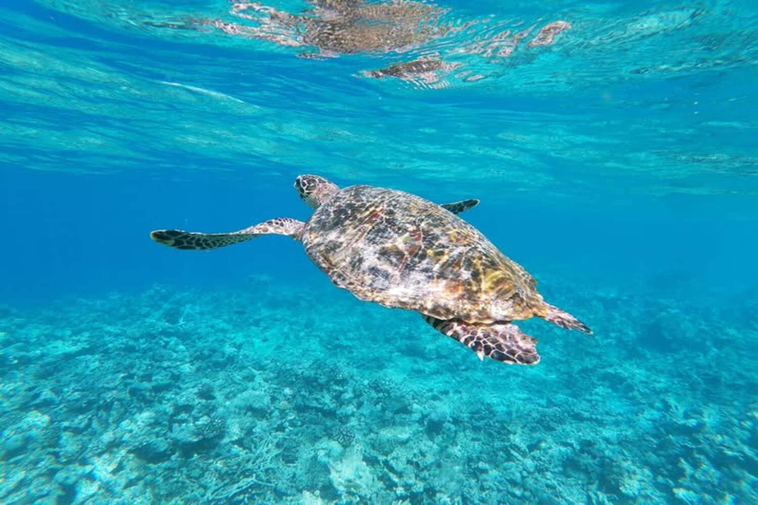 viaggio personalizzato Maldive