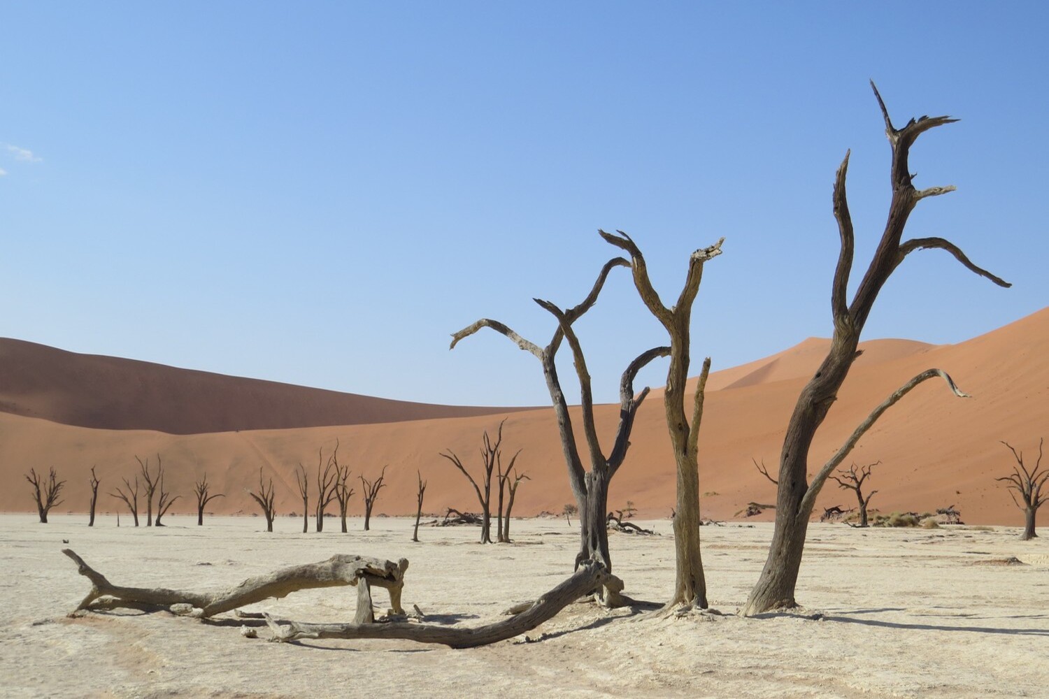 viaggi su misura Namibia