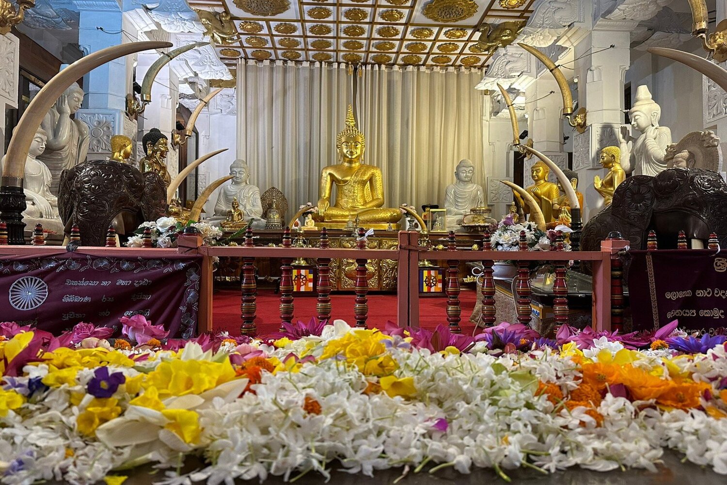 viaggio organizzato Sri Lanka