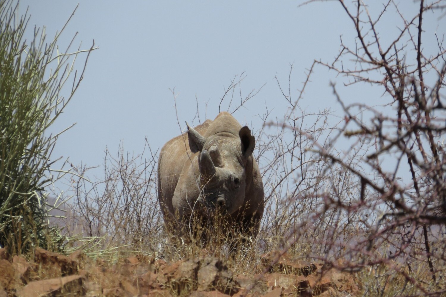 il tuo viaggio in Namibia