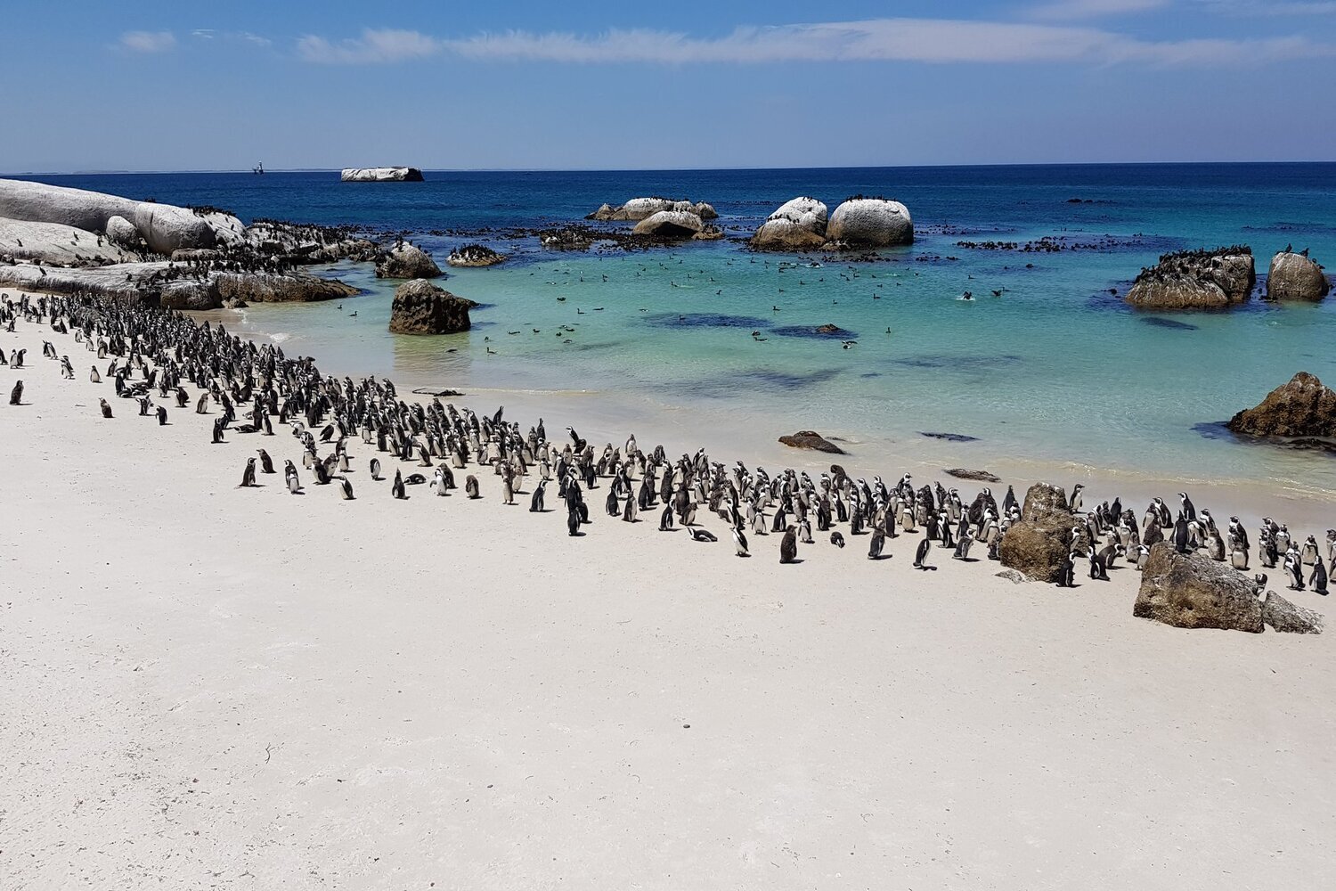 viaggi su misura Sud Africa